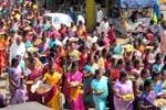 குன்னூர் தந்திமாரியம்மன் கோவிலில் திருக்கல்யாண உற்சவம்!