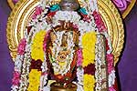 திருநாவுக்கரசர் கோவிலில் அப்பர் சதய திருவிழா!