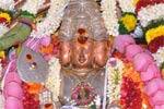 பழநி கோவில் 