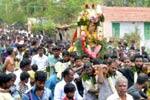 அவிநாசியில் கொளுத்தும் வெயிலில் குதிரை ஊர்வலம்!