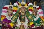 சிறப்பு அலங்காரத்தில் ராஜகோபால சுவாமி!