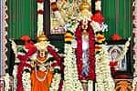 கோவை ஸ்ரீனிவாசப் பெருமாள் திருக்கல்யாண உற்சவம்!