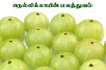 நெல்லிக்காயின் மகத்துவம் தெரியுமா?