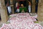 திருவாதவூர் திருமறைநாதர் கோயிலில் 1008 சங்காபிஷேகம்!