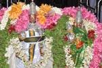 லட்சுமிநாராயணப் பெருமாள் கோயிலில் கொடியேற்றம்!