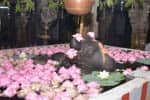 மழை வேண்டி வருண யாகம்: பக்தர்களை குளிர வைத்தது மழை!