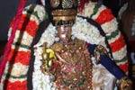 நாச்சியார் திருக்கோலத்தில் அருள்பாலித்த வீரராகவர்!