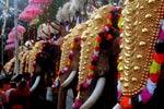 திருச்சூரில் இன்று பூரம் திருவிழா கோலாகலம்!