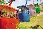 பழநியில் பலத்த காற்று ரோப்கார் நிறுத்தம்!