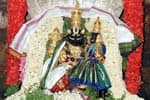 பூவரசன்குப்பம் கோவிலில் லட்சுமி நரசிம்மர் ஜெயந்தி ஹோமம்!