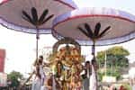 காஞ்சி வரதராஜபெருமாள் கருடசேவை கோலாகலம்!