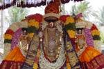 திருவந்திபுரம் தேவநாத சுவாமி கோவிலில் தேரோட்டம்!
