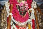 வீரட்டானேஸ்வரர் கோவிலில்.. வராகி அம்மனுக்கு சிறப்பு பூஜை!