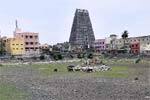 திருக்கோவிலூர் தெப்பக்குளத்தை புனரமைக்க நடவடிக்கை தேவை!