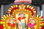 பாரத சூத்திரதாரி கண்ணனுக்கு லட்சத்து எட்டு ரோஜா உற்சவம்!