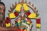 தில்லைக்காளியம்மனுக்கு காப்புக் கட்டி வைகாசி பெருவிழா துவக்கம்!