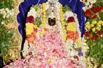 எல்லை மாரியம்மன் கோவிலில் பூச்சாட்டுதலுடன் விழா துவக்கம்!