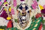 ஐய்யனார் கோவிலில் திருக்கல்யாணம் உற்சவம்!