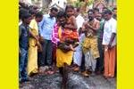 மசிரி மாரியம்மன் கோவில் குண்டம் இறங்கி நேர்ச்சை!