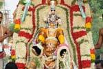 சவுமிய தாமோதரப் பெருமாள் கோயிலில் கருடசேவை!