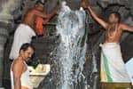 அருணாச்சலேஸ்வரர் கோவிலில் நந்தி பெருமானுக்கு பால் அபிஷேகம்!