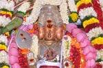 பழநிவைகாசி விசாகவிழா: ஜூன் 5 ல் கொடியேற்றம்!