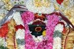 பழநியில் போகர் ஜெயந்தி விழா: மரகதலிங்க பூஜை!