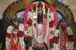 திருக்கோவிலூரில் கிருத்திகை விழா