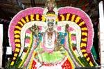முத்துமாரியம்மன் கோவிலில் 34ம் ஆண்டு செடல் உற்சவம்!