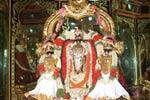 சரநாராயண பெருமாள் சிறப்பு அலங்காரத்தில் அருள்பாலிப்பு!
