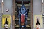பஞ்சவடீ ஆஞ்ஜநேயருக்கு சிறப்பு திருமஞ்சனம்!
