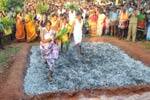 தொட்டிக்குப்பத்தில் தீமிதி உற்சவ விழா!