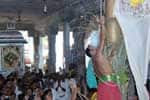 சேவுகப்பெருமாள் அய்யனார் கோயில்வைகாசிவிழா துவக்கம்