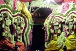 திருநள்ளார் சனிஸ்வர பகவான் கோவிலில் புஷ்ப பல்லக்கு வீதி உலா