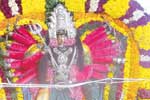 தண்டலம் துலுக்காணத்தம்மன் கோவிலில் தீ மிதி திருவிழா