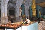 நயினார்கோவில் நாகநாதசுவாமி வசந்தோத்சவ விழா துவக்கம்!