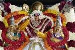 சூரிய பிரபை வாகனத்தில் சுப்ரமணியர் திருவீதி உலா!