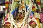 செங்கல்பட்டு பாடலாத்ரி நரசிம்மபெருமாள் கோவிலில் கருடசேவை!