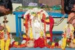 விருத்தாசலம் சுப்ரமணியர் கோவிலில் திருக்கல்யாண உற்சவம்!