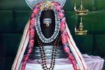 வில்லிவாக்கம் அகஸ்தீஸ்வரர் கும்பாபிஷேக நிகழ்ச்சிகள் துவக்கம்!