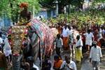 காளியம்மன் கும்பாபிஷேகம்: தீர்த்தக்குடங்களுடன் முளைப்பாரி ஊர்வலம்!
