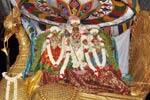 பழநி வைகாசி விசாக விழா: தங்கமயில் வாகனத்தில் முத்துக்குமாரசுவாமி!