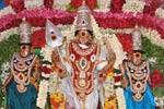 பழநி வைகாசி விசாக திருவிழா கோலாகலம்!