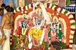 உளுந்தூர்பேட்டை சுப்ரமணிய சுவாமிக்கு திருக்கல்யாணம்!