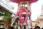 புதிய ரிஷப வாகனத்தில் பிரதோஷ நாதர் உலா!