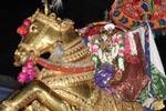 பழநியில் தங்ககுதிரை வாகனத்தில் முத்துக்குமாரசுவாமி!