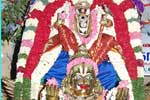 வேணுகோபால சுவாமி கோவிலில்  கருடசேவை உற்சவம்!