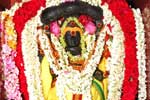 விழுப்புரம் குரு பெயர்ச்சி சிறப்பு பூஜை!