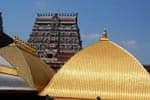 சிதம்பரம் நடராஜர் கோயில் ஆனி விழா!
