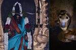 அம்மன் சிலையை சுற்றி வந்த நல்ல பாம்பு: பக்தர்கள் பரவசம்!